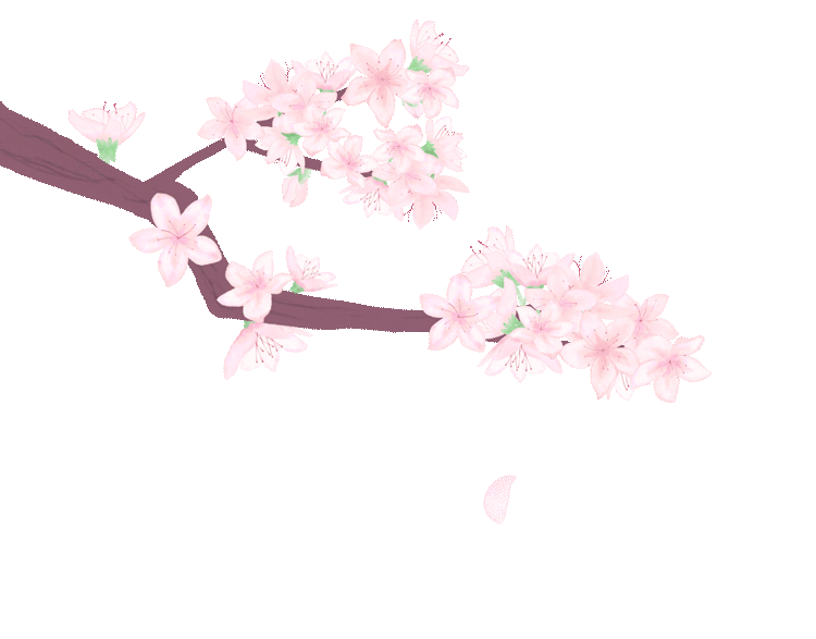 2b7face00b110ddec7db69e9d47f24c2 2b7face00b110ddec7db69e9d47f24c2